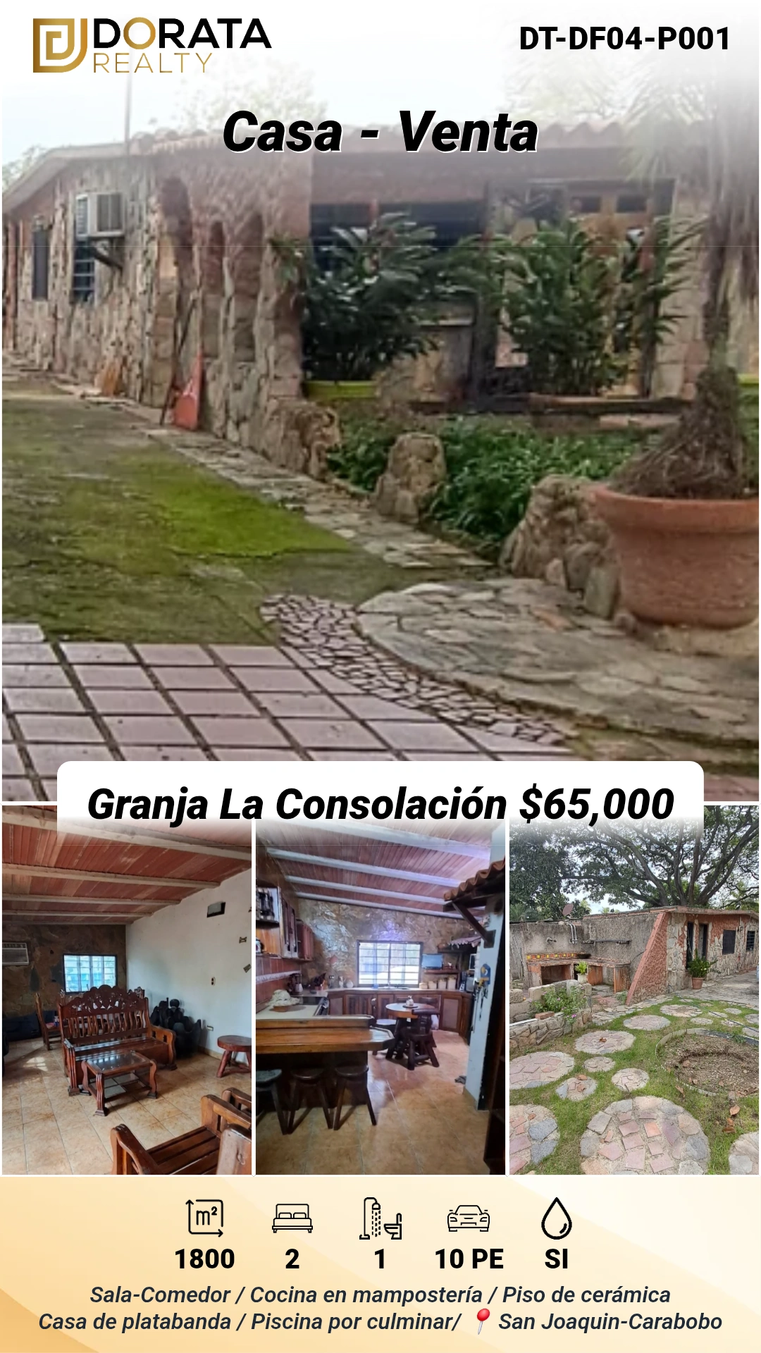 Flyer DT-DF04-P001